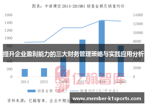 提升企业盈利能力的三大财务管理策略与实践应用分析