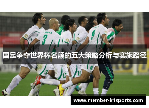 国足争夺世界杯名额的五大策略分析与实施路径