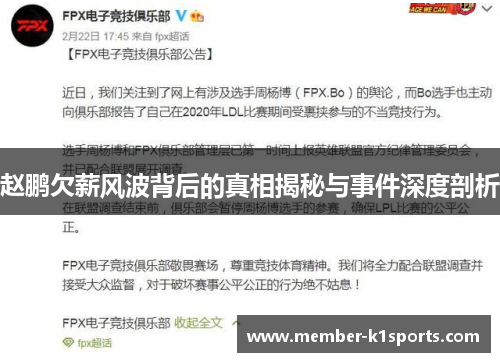 赵鹏欠薪风波背后的真相揭秘与事件深度剖析